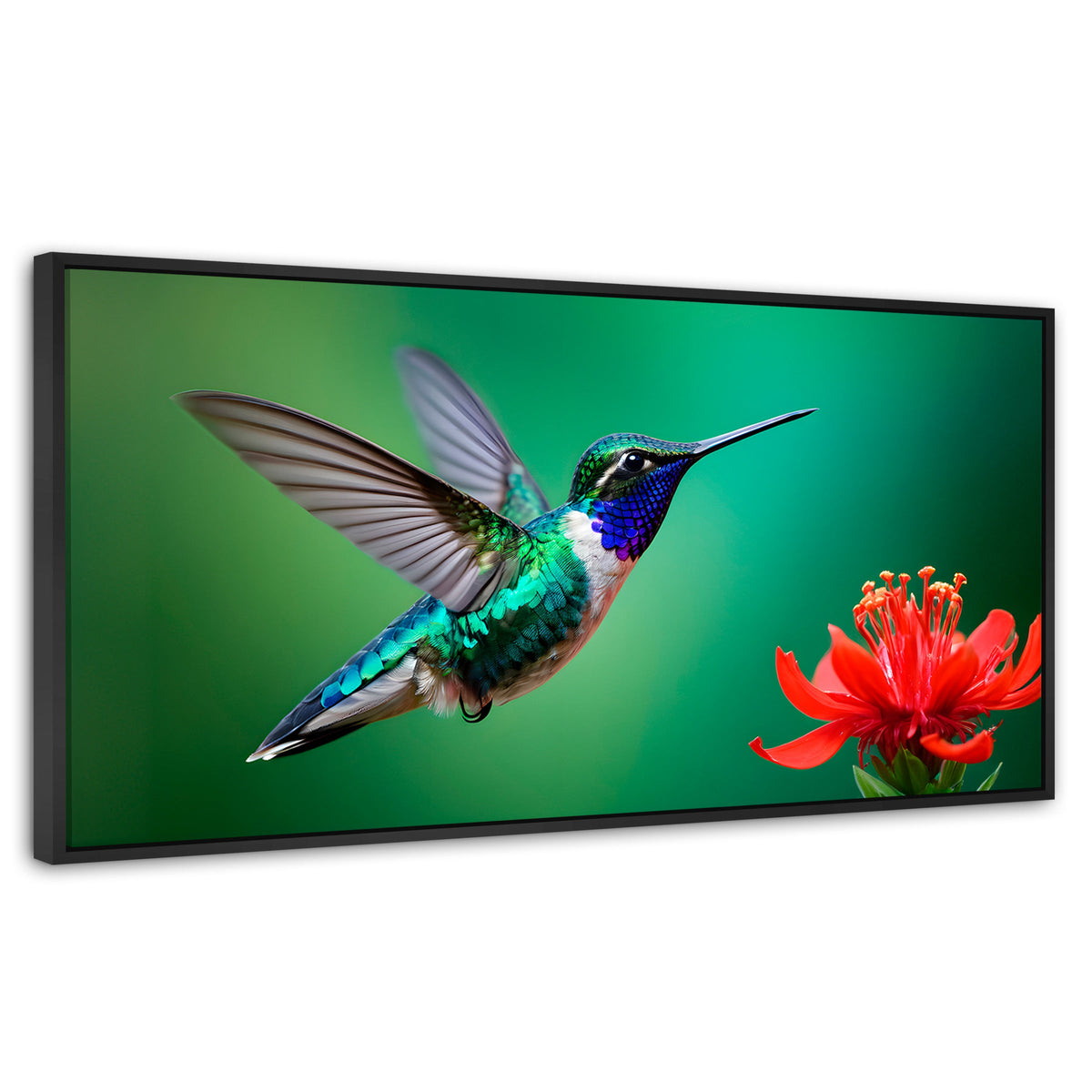 Cuadros Decorativos Canvas Revolution | Colibri En Rocio | Panoramico | Portada | Marco Plateado