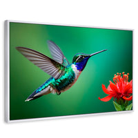 Cuadros Decorativos Canvas Revolution | Colibri En Rocio | Rectangular | Portada | Marco Blanco