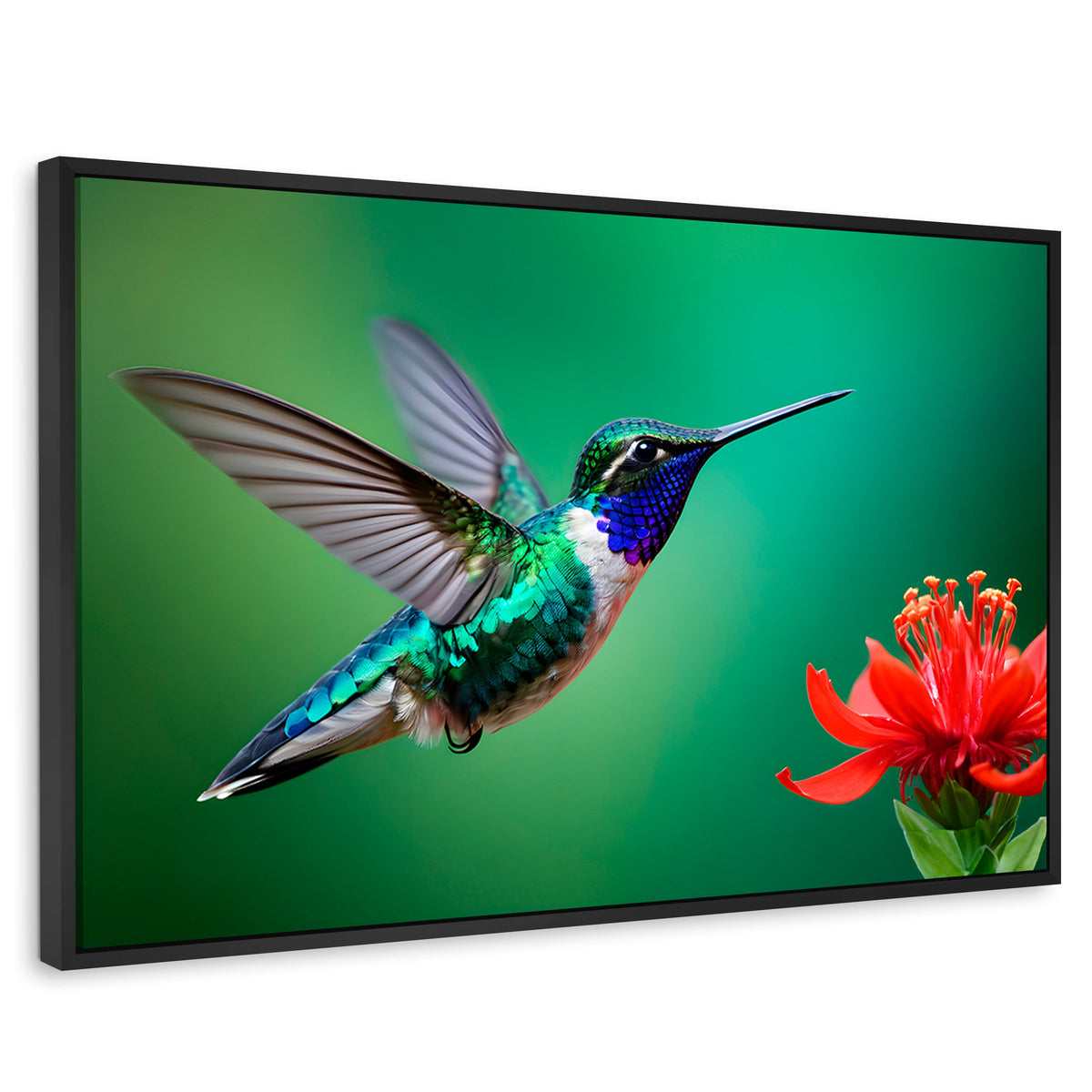 Cuadros Decorativos Canvas Revolution | Colibri En Rocio | Rectangular | Portada | Marco Negro