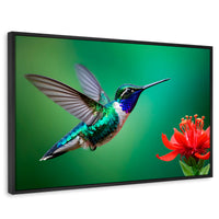 Cuadros Decorativos Canvas Revolution | Colibri En Rocio | Rectangular | Portada | Marco Negro