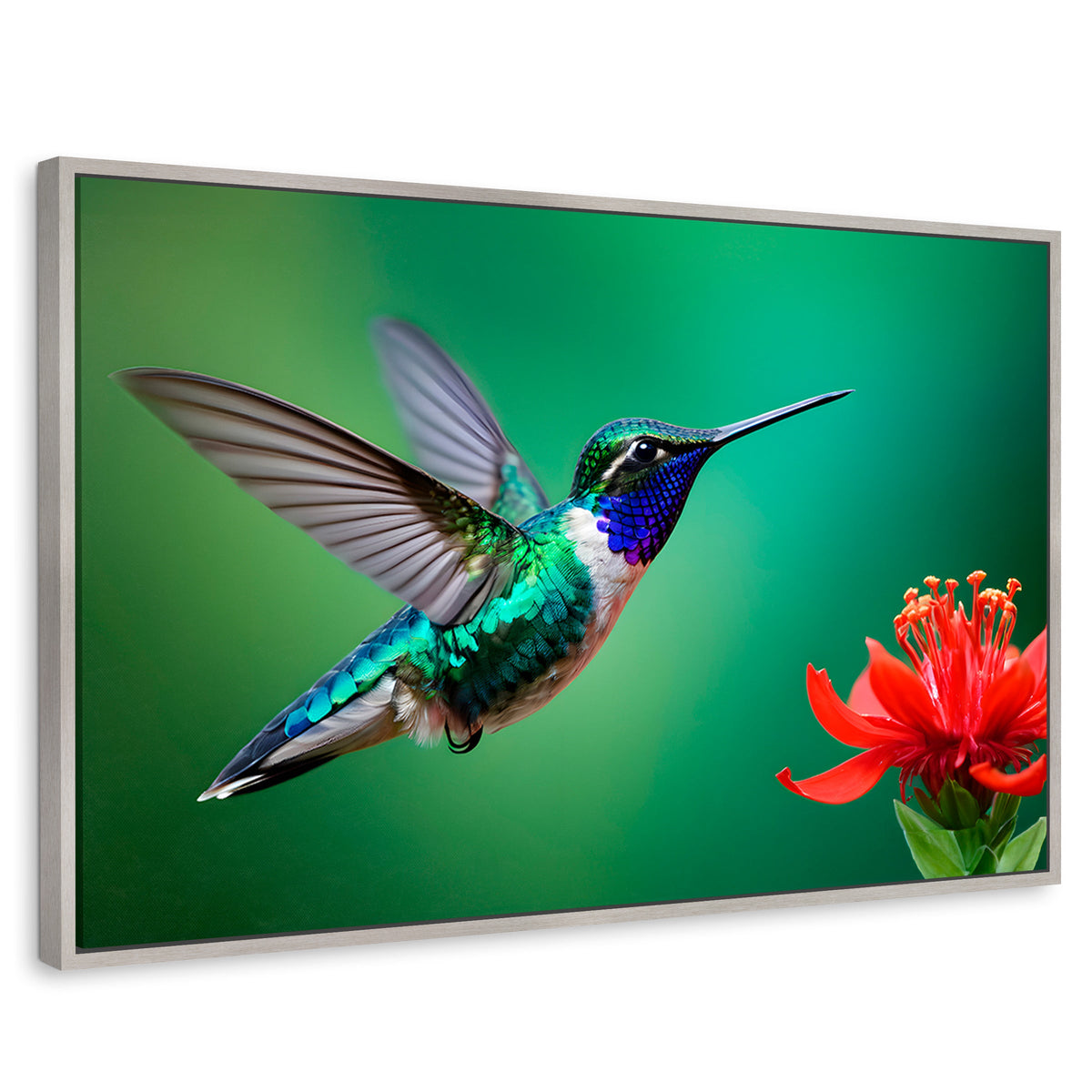 Cuadros Decorativos Canvas Revolution | Colibri En Rocio | Rectangular | Portada | Marco Plateado