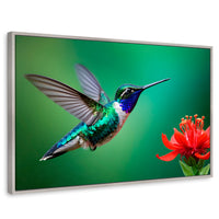 Cuadros Decorativos Canvas Revolution | Colibri En Rocio | Rectangular | Portada | Marco Plateado