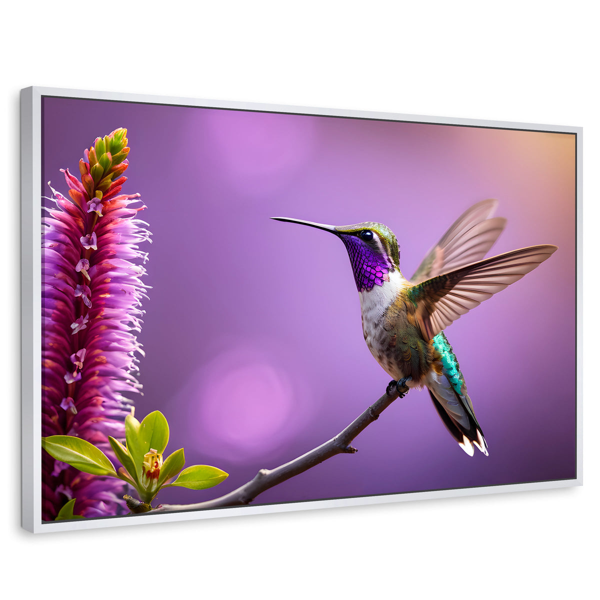 Cuadros Decorativos Canvas Revolution | Colibri Floresta | Rectangular | Portada | Marco Blanco