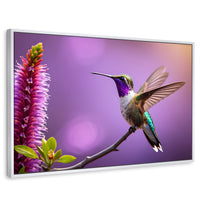 Cuadros Decorativos Canvas Revolution | Colibri Floresta | Rectangular | Portada | Marco Blanco
