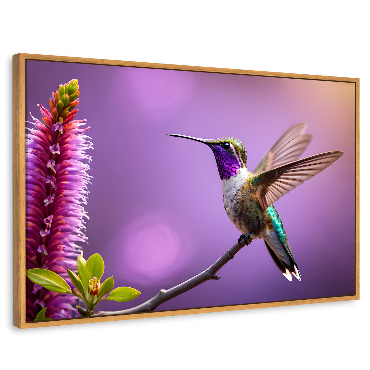 Cuadros Decorativos Canvas Revolution | Colibri Floresta | Rectangular | Portada | Marco Madera