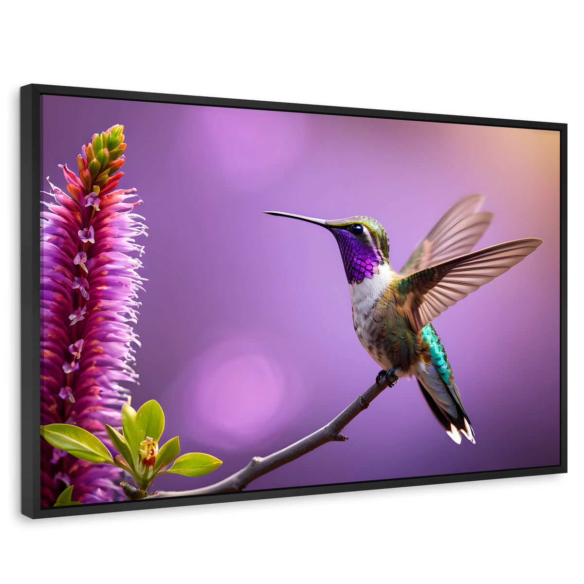 Cuadros Decorativos Canvas Revolution | Colibri Floresta | Rectangular | Portada | Marco Negro
