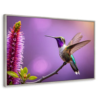 Cuadros Decorativos Canvas Revolution | Colibri Floresta | Rectangular | Portada | Marco Plateado