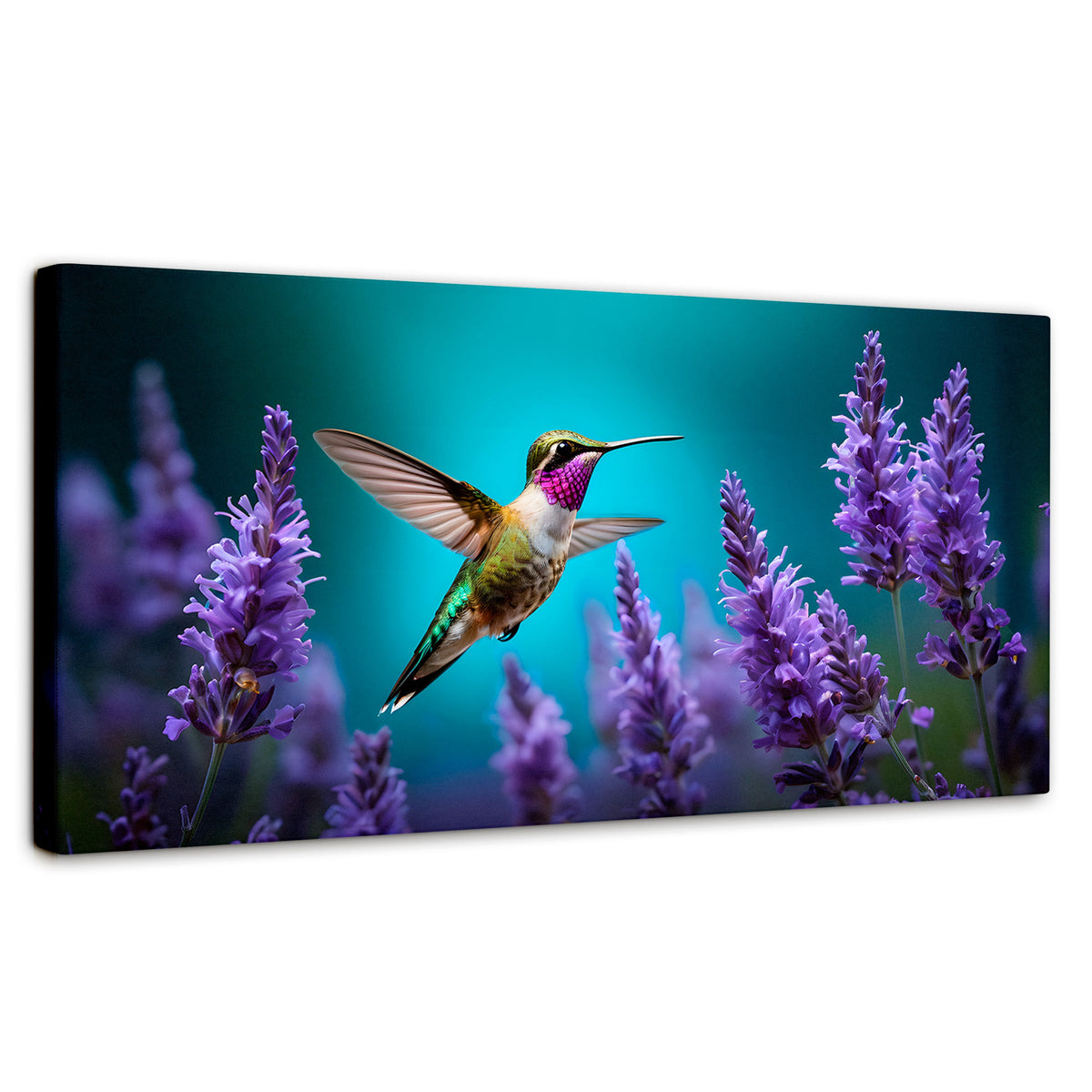 Cuadros Decorativos Canvas Revolution | Colibri Lavandas | Panoramico | Portada | Marco SinMarco