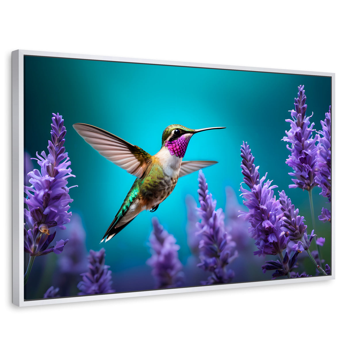 Cuadros Decorativos Canvas Revolution | Colibri Lavandas | Rectangular | Portada | Marco Blanco
