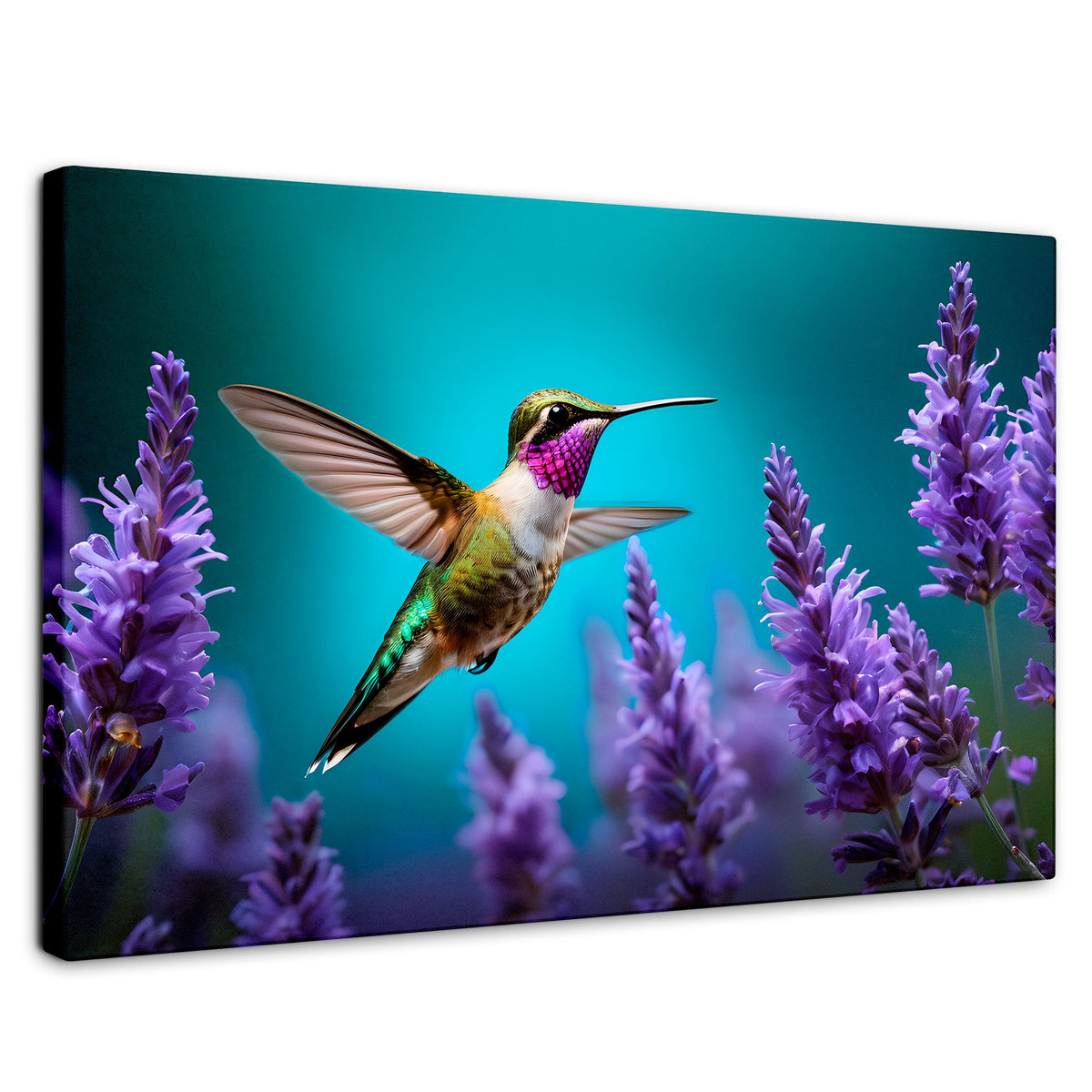 Cuadros Decorativos Canvas Revolution | Colibri Lavandas | Rectangular | Portada | Marco SinMarco