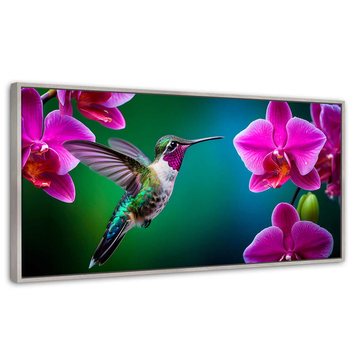 Cuadros Decorativos Canvas Revolution | Colibri Melodioso | Panoramico | Portada | Marco Blanco