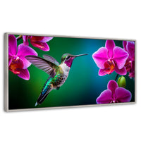 Cuadros Decorativos Canvas Revolution | Colibri Melodioso | Panoramico | Portada | Marco Blanco