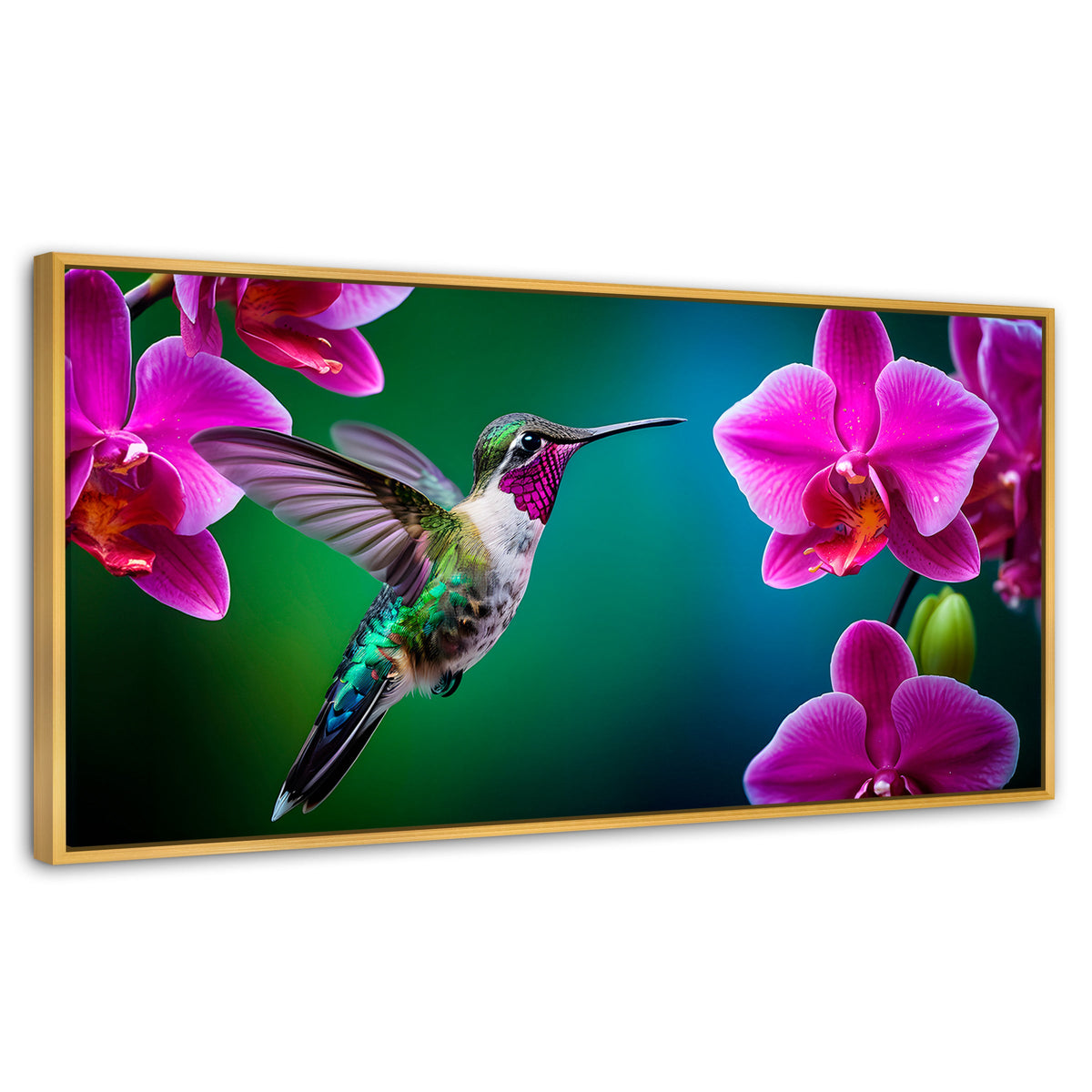 Cuadros Decorativos Canvas Revolution | Colibri Melodioso | Panoramico | Portada | Marco Madera