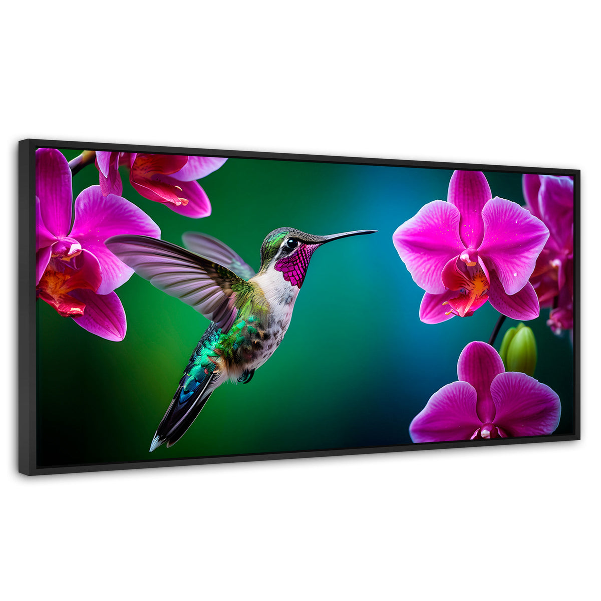 Cuadros Decorativos Canvas Revolution | Colibri Melodioso | Panoramico | Portada | Marco Plateado