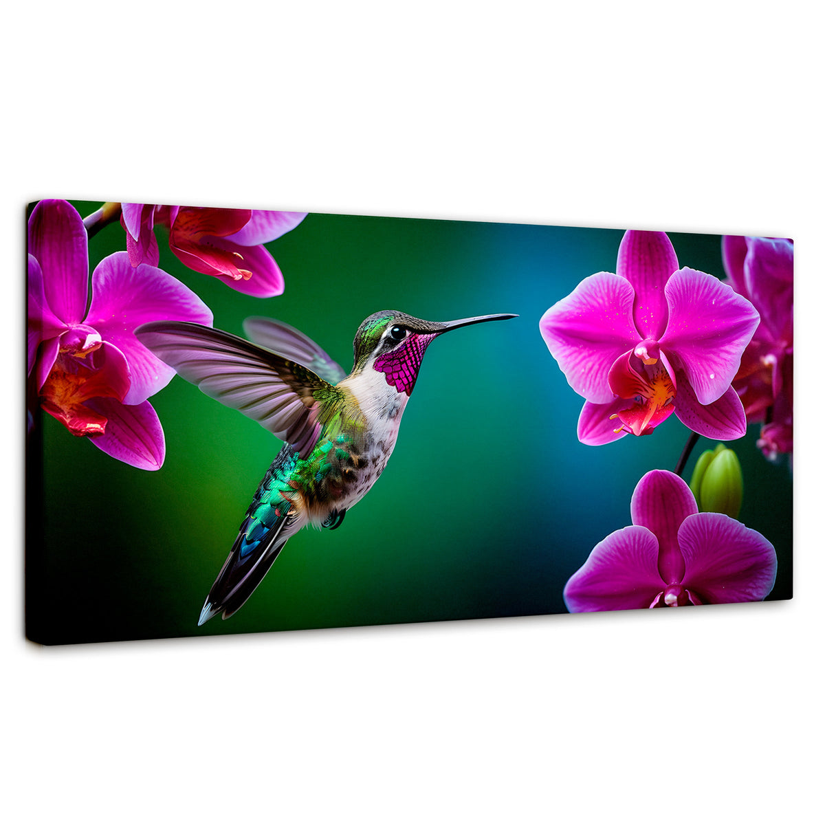 Cuadros Decorativos Canvas Revolution | Colibri Melodioso | Panoramico | Portada | Marco SinMarco