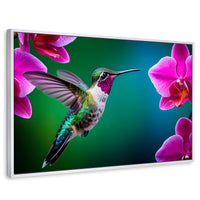 Cuadros Decorativos Canvas Revolution | Colibri Melodioso | Rectangular | Portada | Marco Blanco