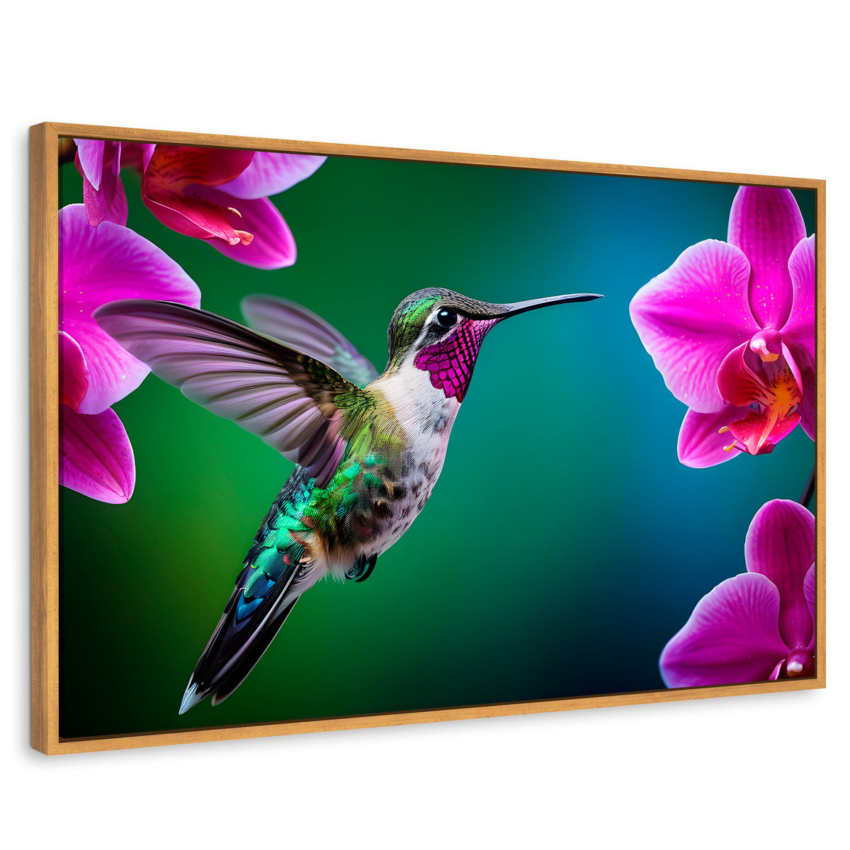 Cuadros Decorativos Canvas Revolution | Colibri Melodioso | Rectangular | Portada | Marco Madera