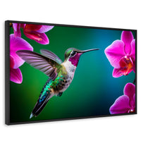Cuadros Decorativos Canvas Revolution | Colibri Melodioso | Rectangular | Portada | Marco Negro