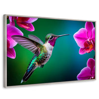 Cuadros Decorativos Canvas Revolution | Colibri Melodioso | Rectangular | Portada | Marco Plateado