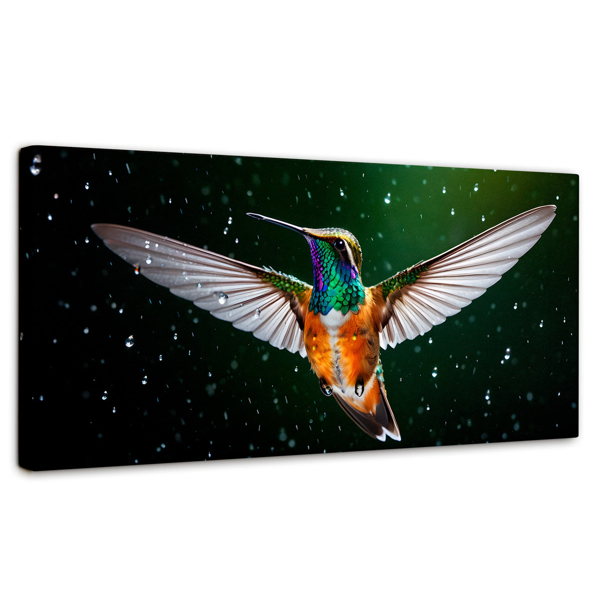 Cuadros Decorativos Canvas Revolution | Colibri Nocturno | Panoramico | Portada | Marco SinMarco