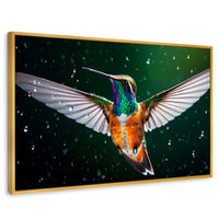 Cuadros Decorativos Canvas Revolution | Colibri Nocturno | Rectangular | Portada | Marco Dorado