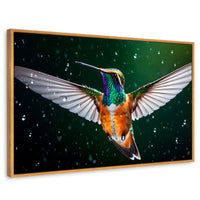 Cuadros Decorativos Canvas Revolution | Colibri Nocturno | Rectangular | Portada | Marco Madera