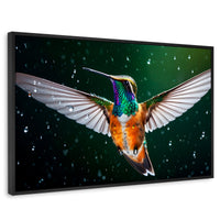 Cuadros Decorativos Canvas Revolution | Colibri Nocturno | Rectangular | Portada | Marco Negro
