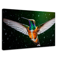 Cuadros Decorativos Canvas Revolution | Colibri Nocturno | Rectangular | Portada | Marco SinMarco