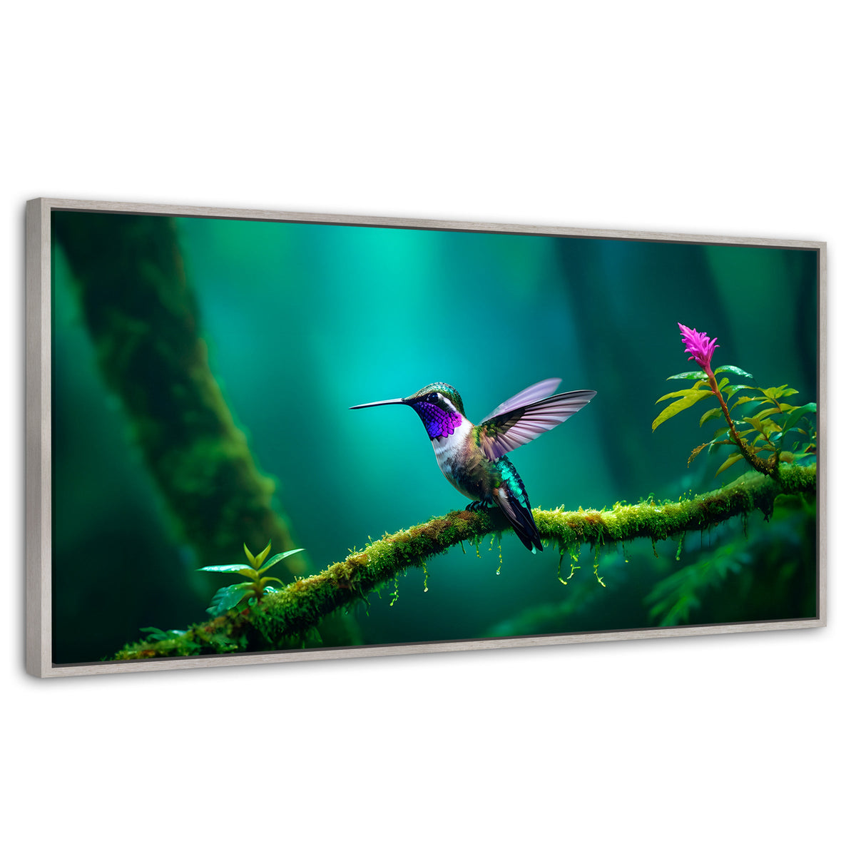 Cuadros Decorativos Canvas Revolution | Colibri Selvatico | Panoramico | Portada | Marco Blanco