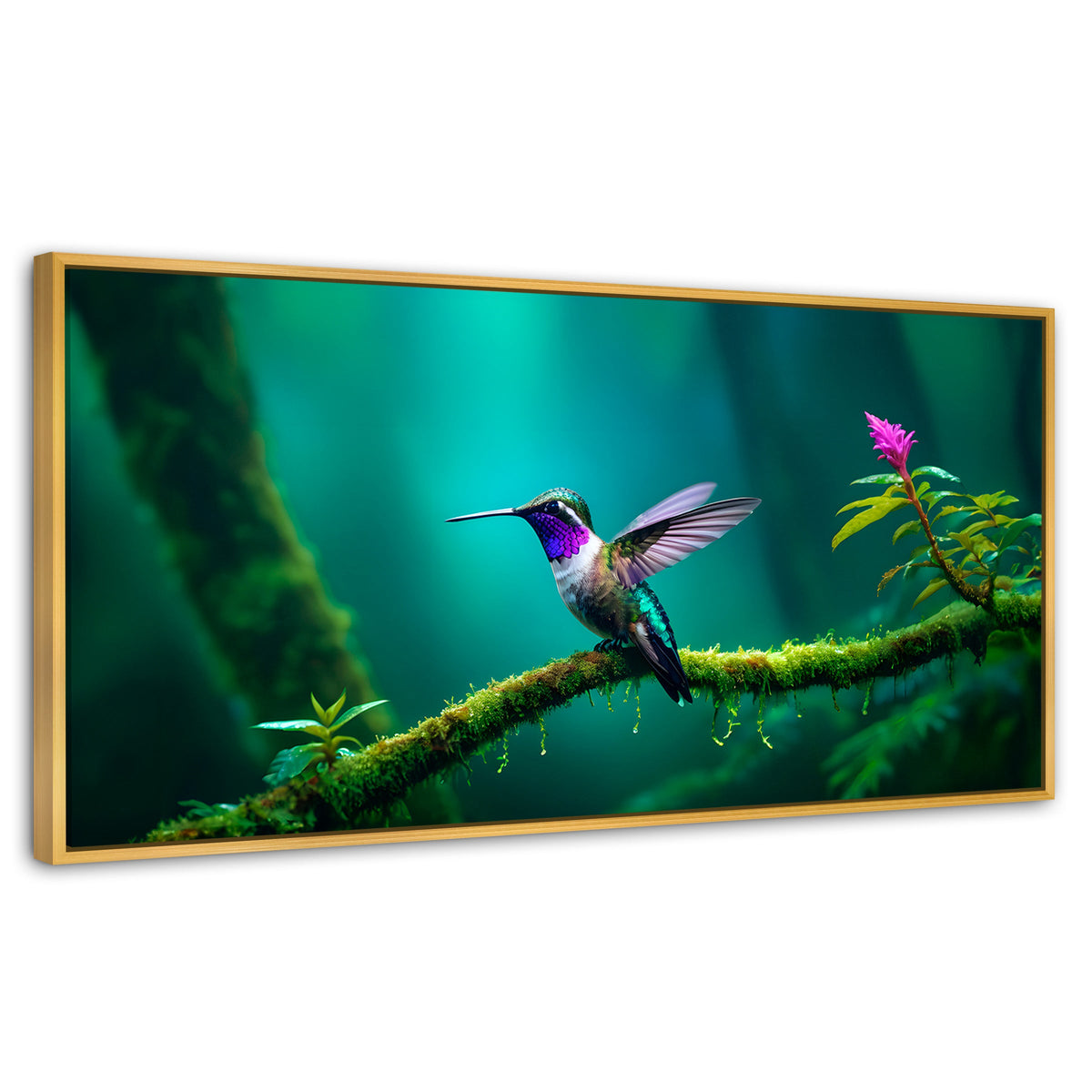 Cuadros Decorativos Canvas Revolution | Colibri Selvatico | Panoramico | Portada | Marco Madera