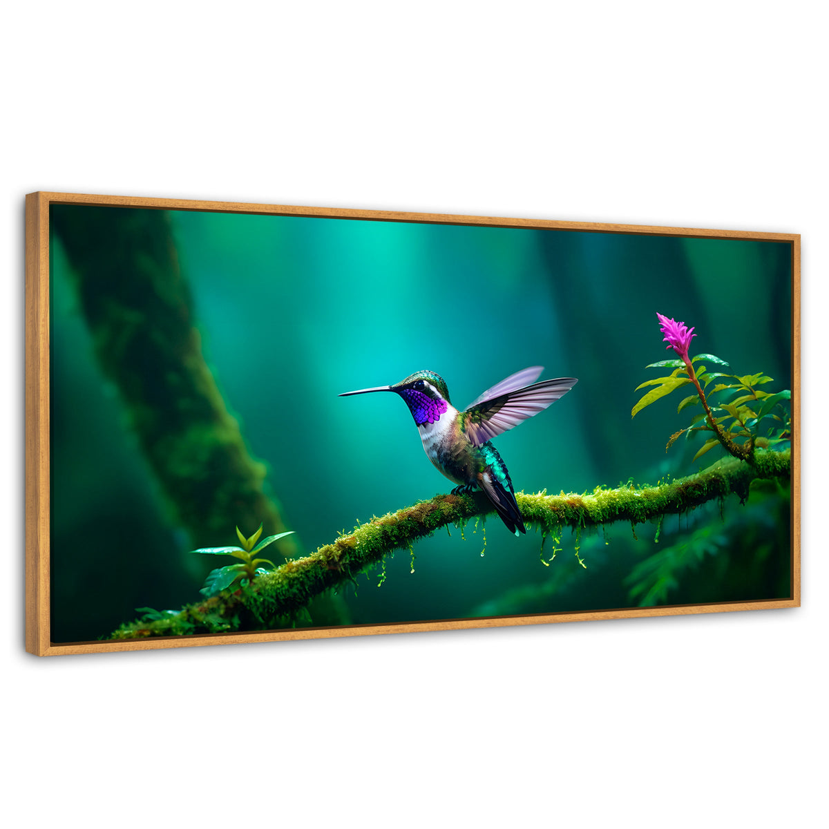 Cuadros Decorativos Canvas Revolution | Colibri Selvatico | Panoramico | Portada | Marco Negro