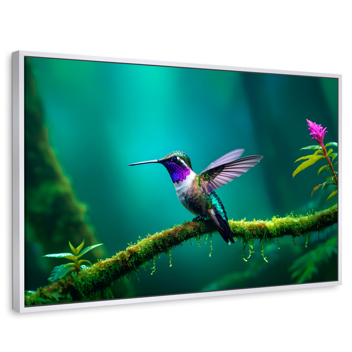 Cuadros Decorativos Canvas Revolution | Colibri Selvatico | Rectangular | Portada | Marco Blanco