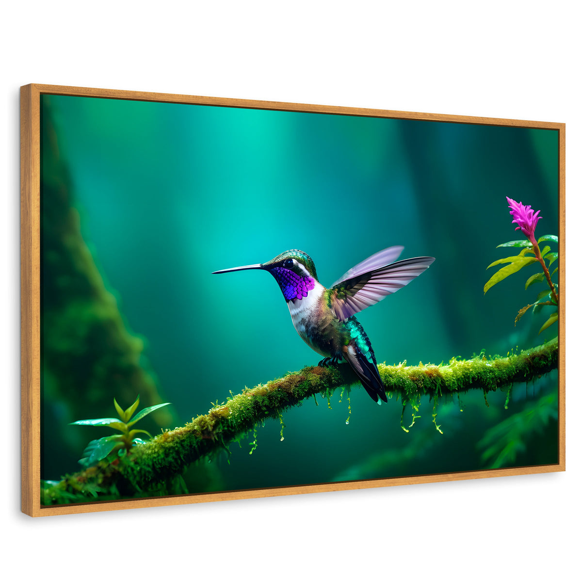 Cuadros Decorativos Canvas Revolution | Colibri Selvatico | Rectangular | Portada | Marco Madera
