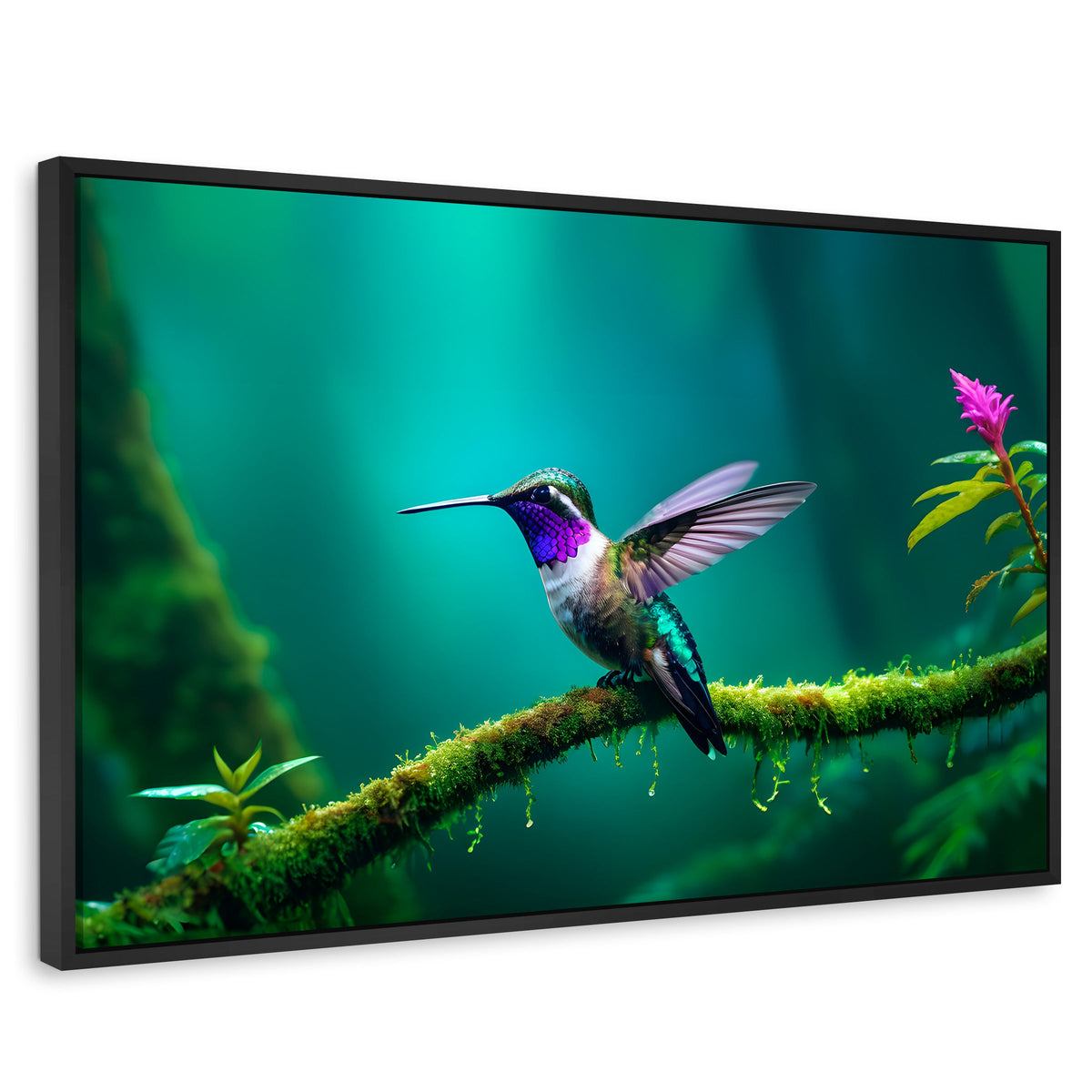 Cuadros Decorativos Canvas Revolution | Colibri Selvatico | Rectangular | Portada | Marco Negro