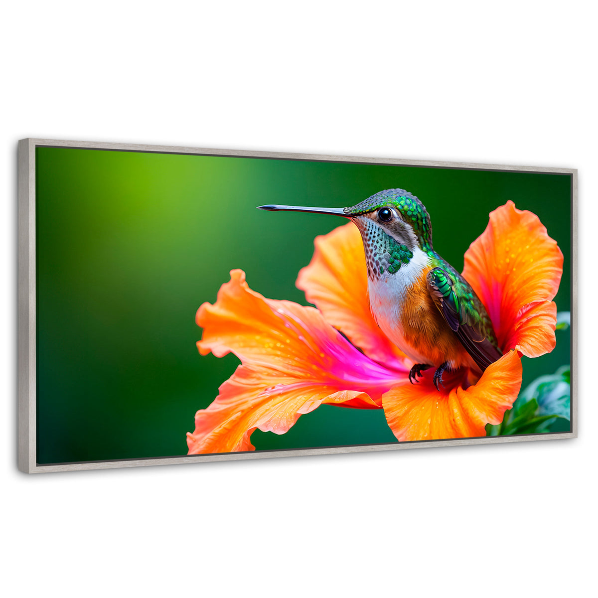 Cuadros Decorativos Canvas Revolution | Colibri Serenidad | Panoramico | Portada | Marco Blanco