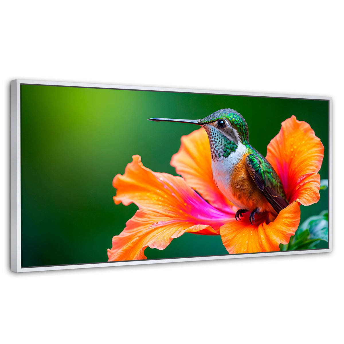 Cuadros Decorativos Canvas Revolution | Colibri Serenidad | Panoramico | Portada | Marco Dorado