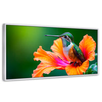 Cuadros Decorativos Canvas Revolution | Colibri Serenidad | Panoramico | Portada | Marco Dorado