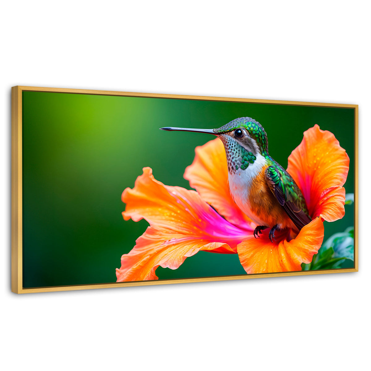 Cuadros Decorativos Canvas Revolution | Colibri Serenidad | Panoramico | Portada | Marco Madera