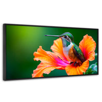 Cuadros Decorativos Canvas Revolution | Colibri Serenidad | Panoramico | Portada | Marco Plateado