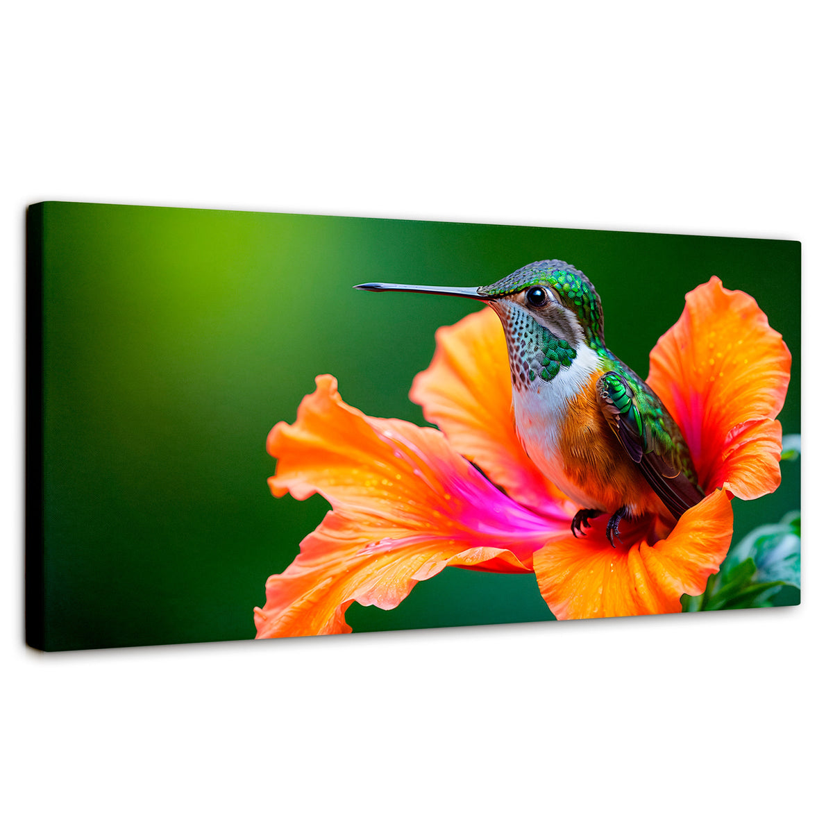 Cuadros Decorativos Canvas Revolution | Colibri Serenidad | Panoramico | Portada | Marco SinMarco