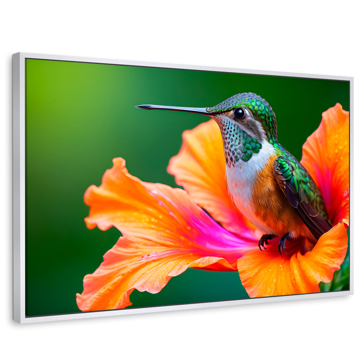 Cuadros Decorativos Canvas Revolution | Colibri Serenidad | Rectangular | Portada | Marco Blanco