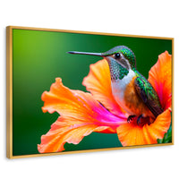 Cuadros Decorativos Canvas Revolution | Colibri Serenidad | Rectangular | Portada | Marco Dorado