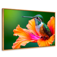 Cuadros Decorativos Canvas Revolution | Colibri Serenidad | Rectangular | Portada | Marco Madera