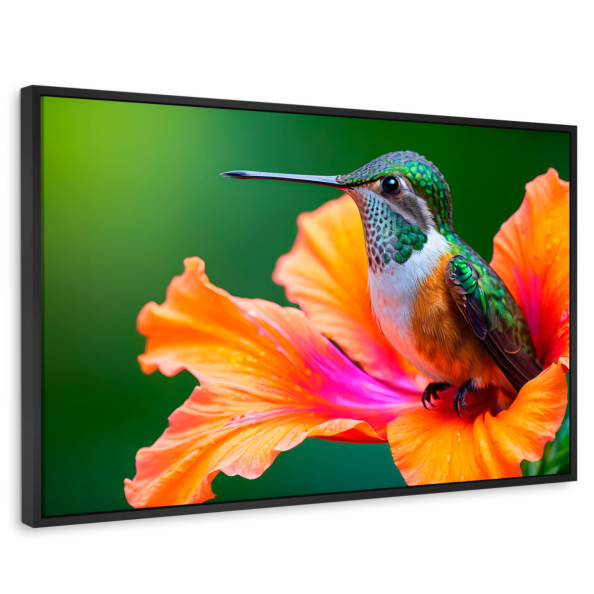 Cuadros Decorativos Canvas Revolution | Colibri Serenidad | Rectangular | Portada | Marco Negro