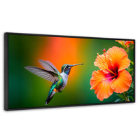 Cuadros Decorativos Canvas Revolution | Colibri Simpleza | Panoramico | Portada | Marco Plateado