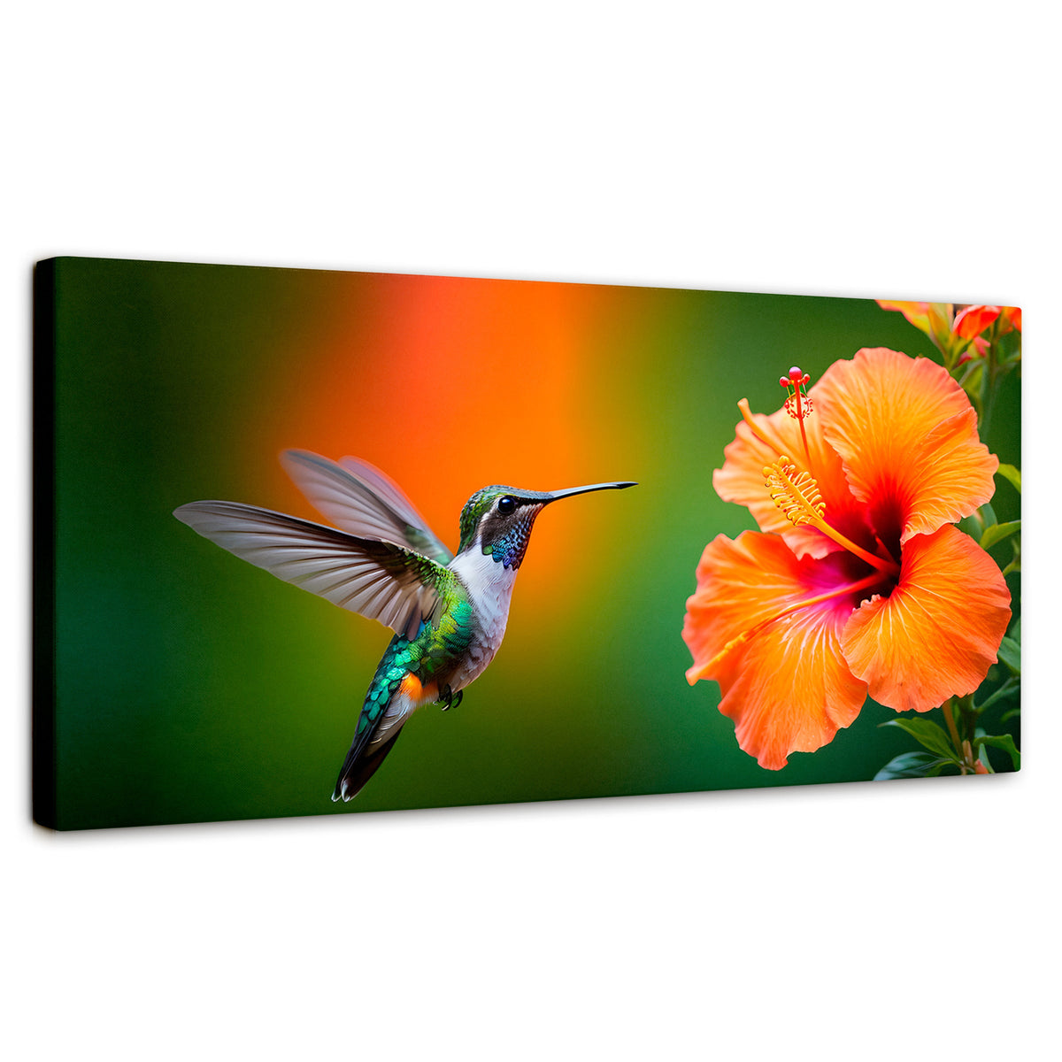 Cuadros Decorativos Canvas Revolution | Colibri Simpleza | Panoramico | Portada | Marco SinMarco