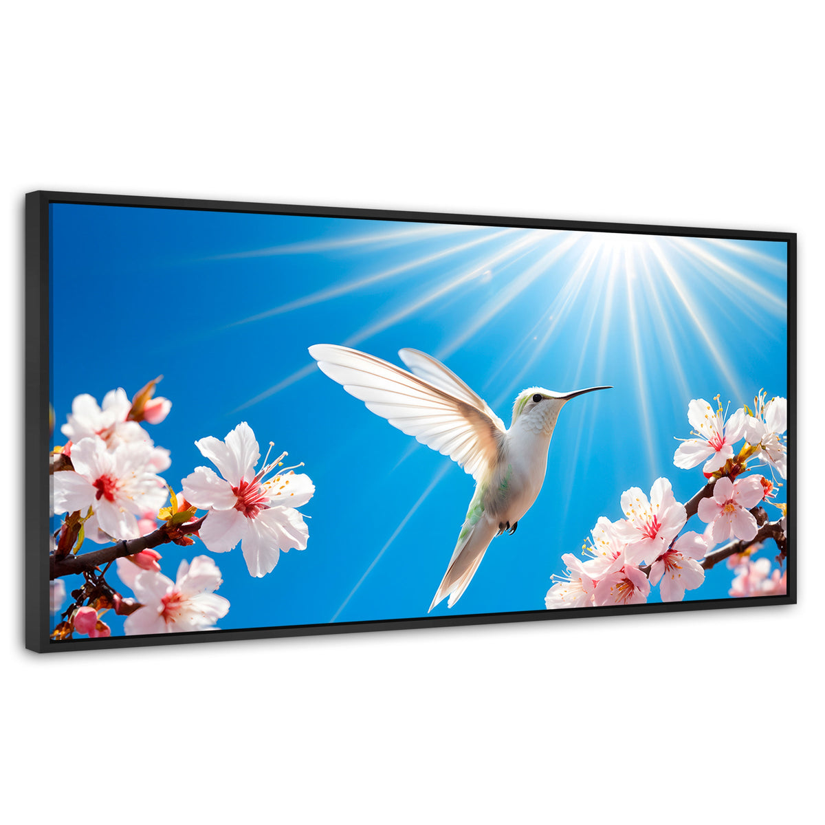 Cuadros Decorativos Canvas Revolution | Colibri Y Sol | Panoramico | Portada | Marco Plateado