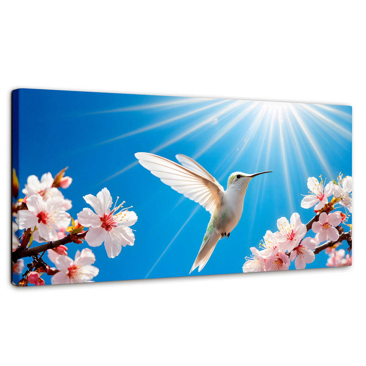 Cuadros Decorativos Canvas Revolution | Colibri Y Sol | Panoramico | Portada | Marco SinMarco