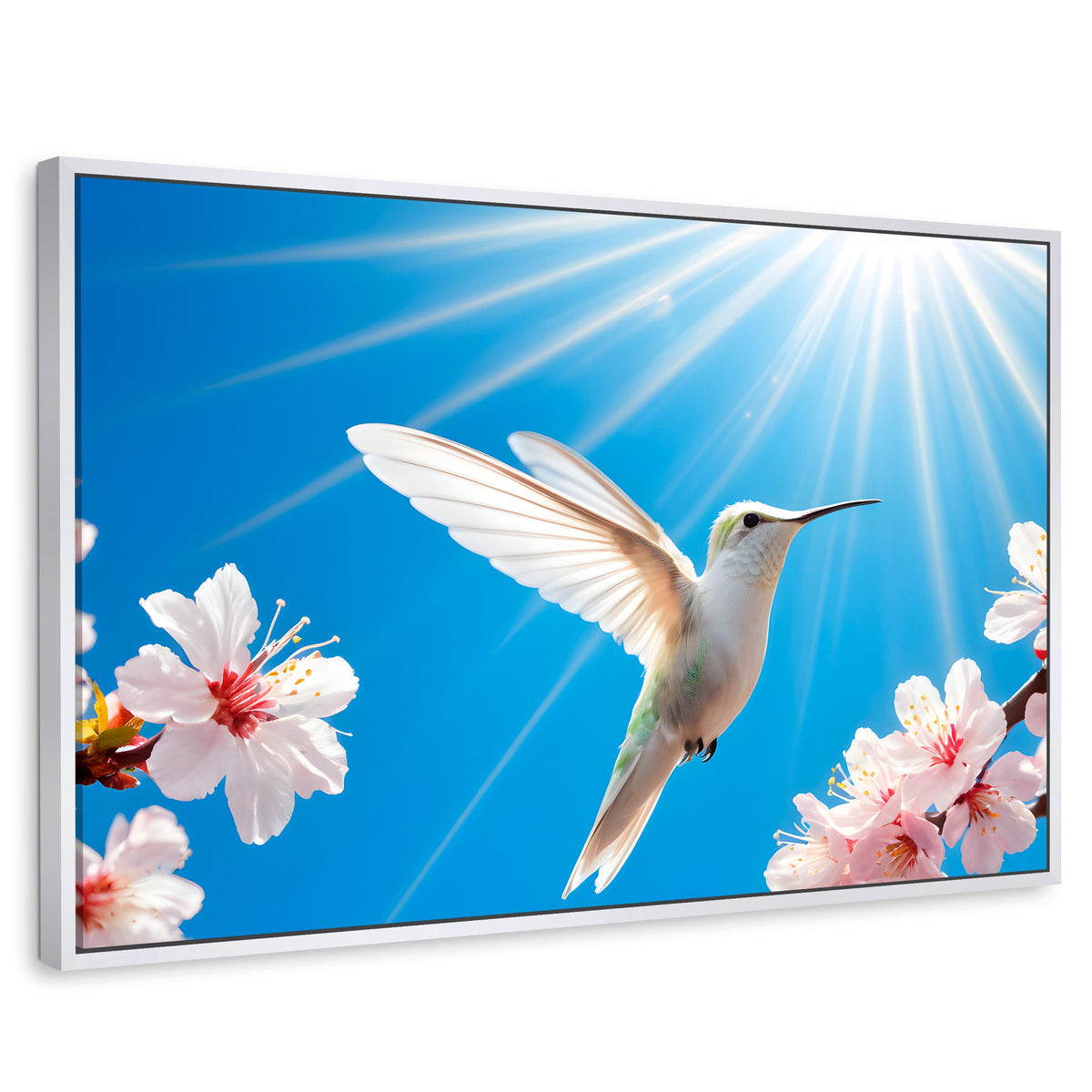 Cuadros Decorativos Canvas Revolution | Colibri Y Sol | Rectangular | Portada | Marco Blanco