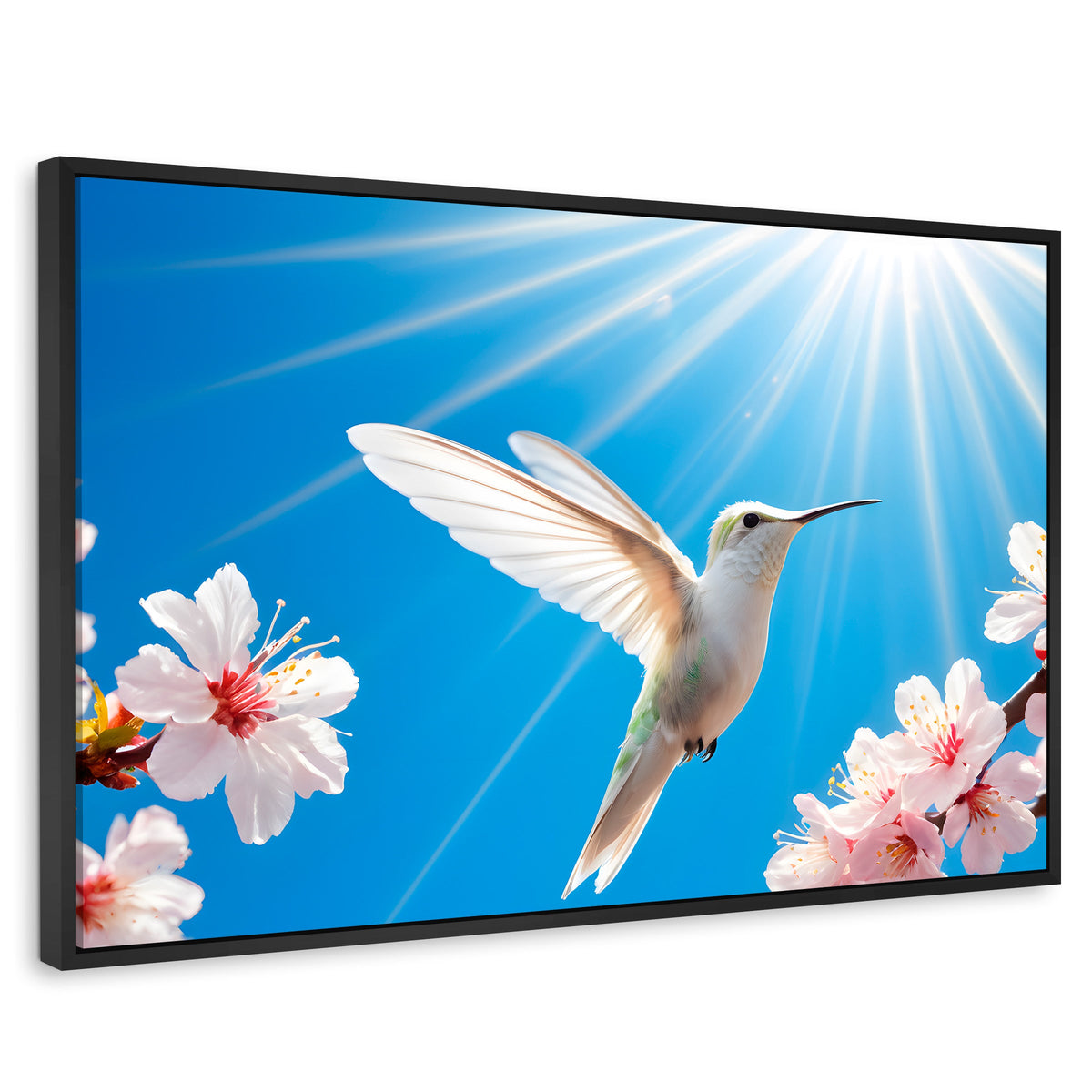 Cuadros Decorativos Canvas Revolution | Colibri Y Sol | Rectangular | Portada | Marco Negro